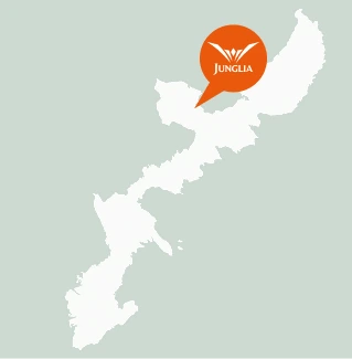 交通資訊