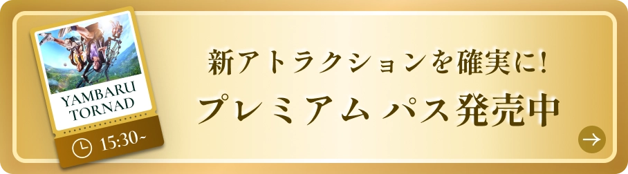 やんばるトルネード チケット購入