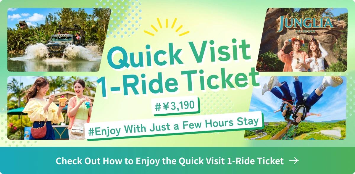 Discover How to Enjoy the Quick Visit 1-Ride Ticket