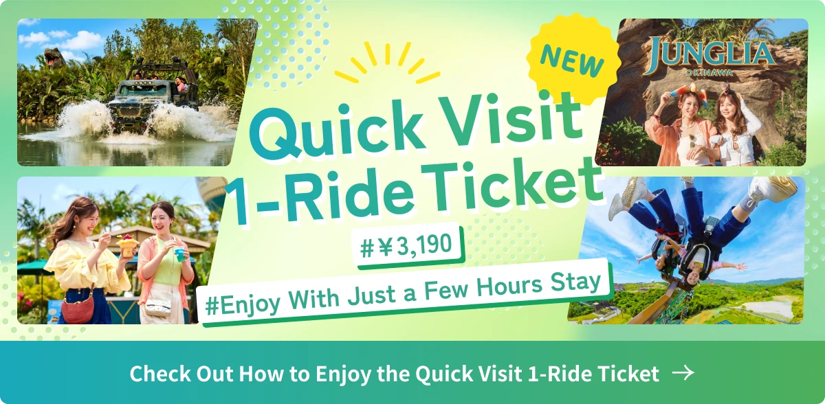 Discover How to Enjoy the Quick Visit 1-Ride Ticket