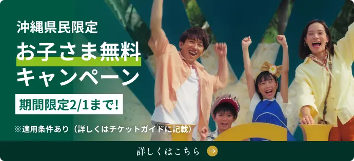 沖縄限定お子さま無料キャンペーン