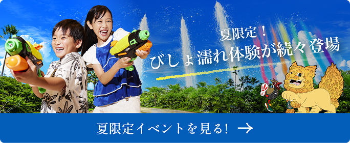 夏のびしょ濡れ大作戦