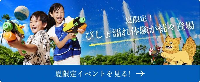 夏のびしょ濡れ大作戦