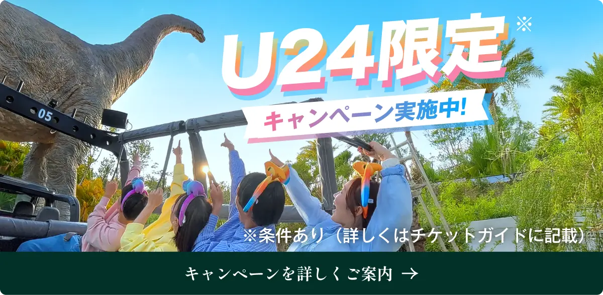 U24限定 キャンペーン実施中! キャンペーンを詳しくご案内