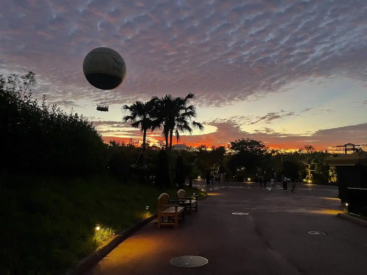 ＃わたしのジャングリア 画像6枚目