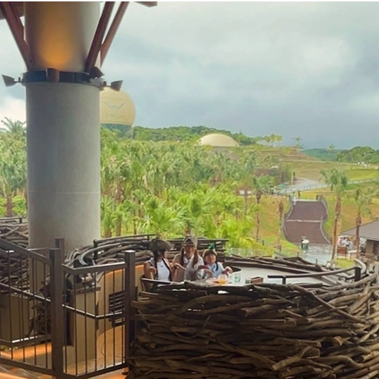 ＃わたしのジャングリア 画像7枚目