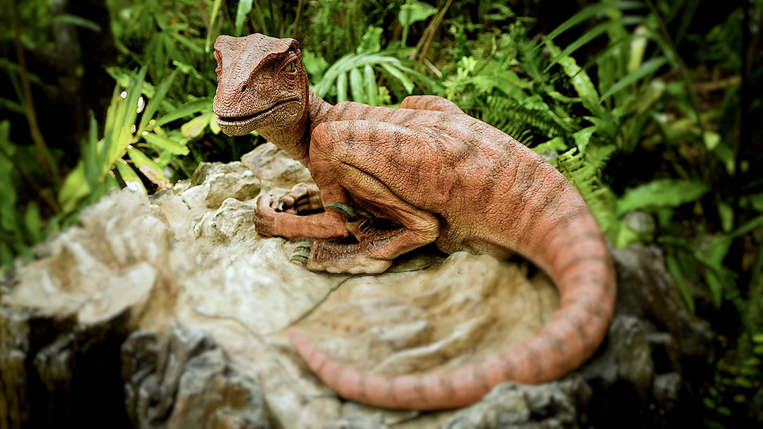 FINDING DINOSAURS - 画像5