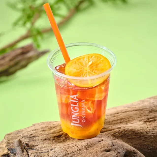 SUNサンティー（4/22から販売開始） 1