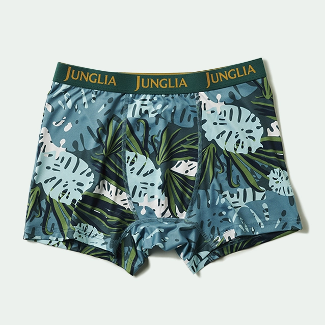 Boxer Briefs Logo 1